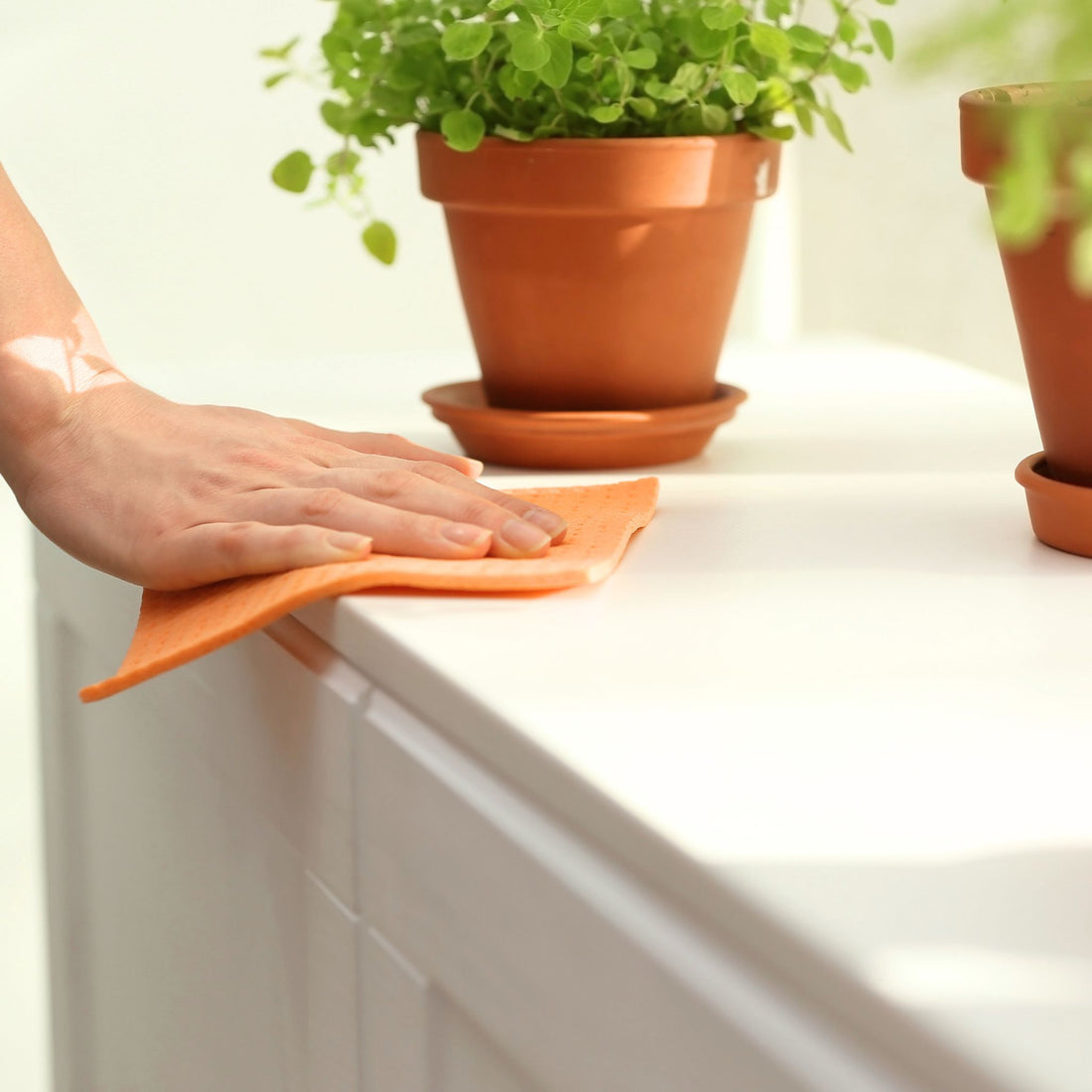 The Unseen Connection: How Personality Shapes the Cleanliness of Your Home - Rallis Olive Oil USA