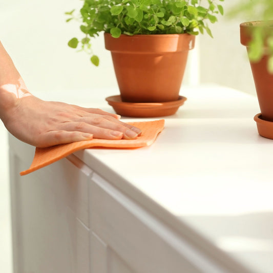The Unseen Connection: How Personality Shapes the Cleanliness of Your Home - Rallis Olive Oil USA