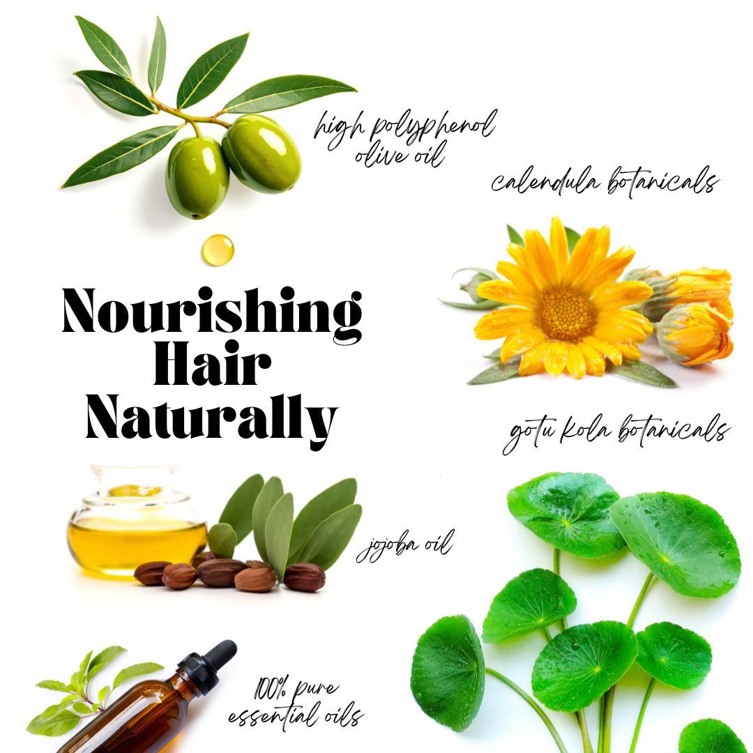 Natural Ingredient List - Olive Farmacy's Hair Oil