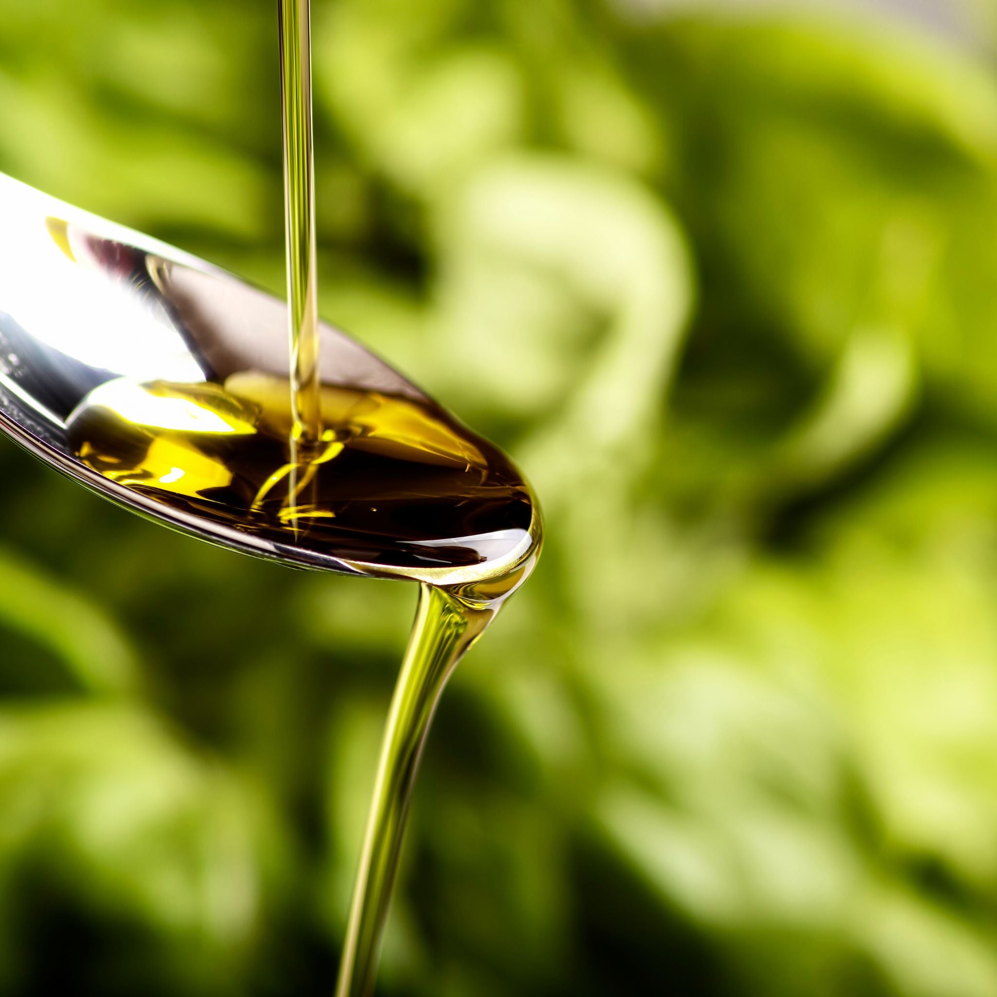 High Polyphenol Olive Oil, High antioxidant Olive OIl, Healthy Olive Oil